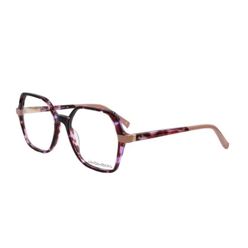 VAN DEN BERG VDB2246 CF01