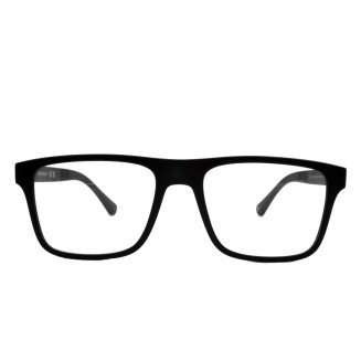 EMPORIO ARMANI EA4115 5042