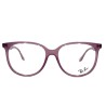 RAY-BAN RB4378V 8413
