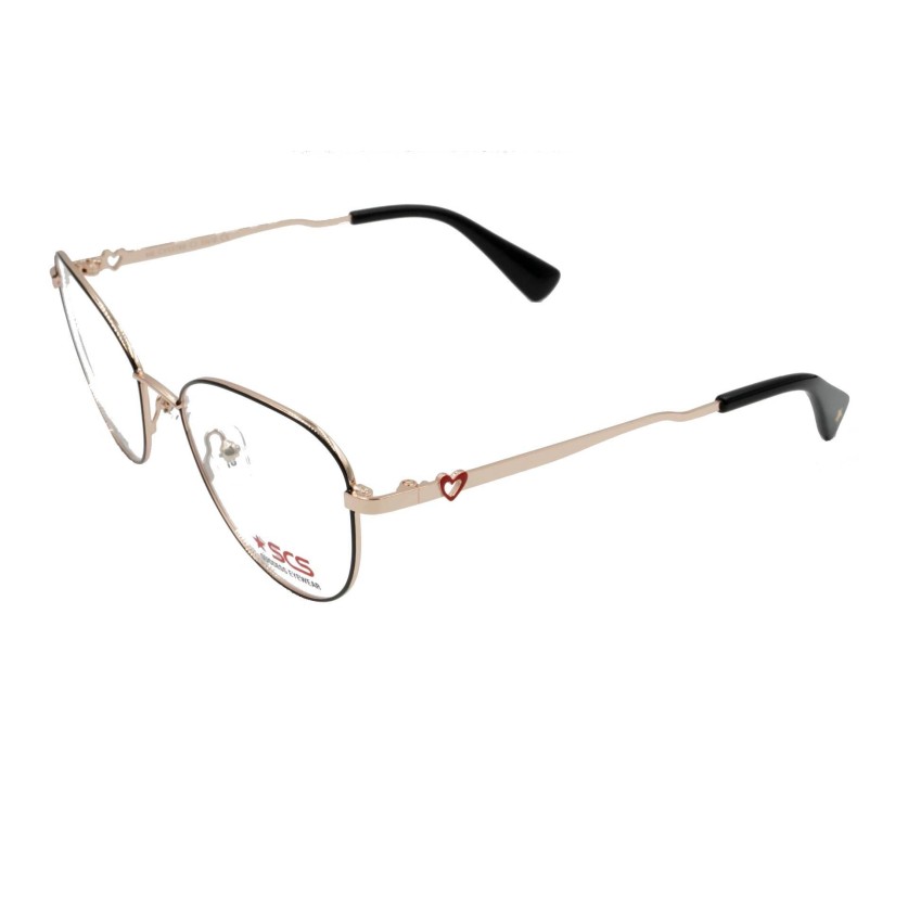 SUCCESS HK-CYS5788 C2