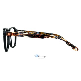 BLM 2551 c1 Moonlight