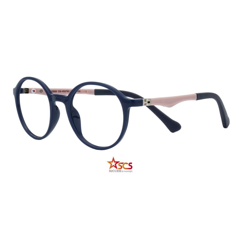 CG XS 3763 c2 Success