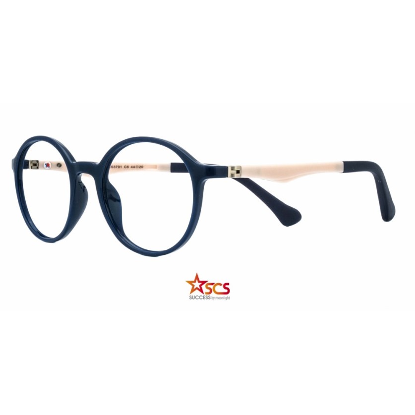 CG XS 3791 c6 Success