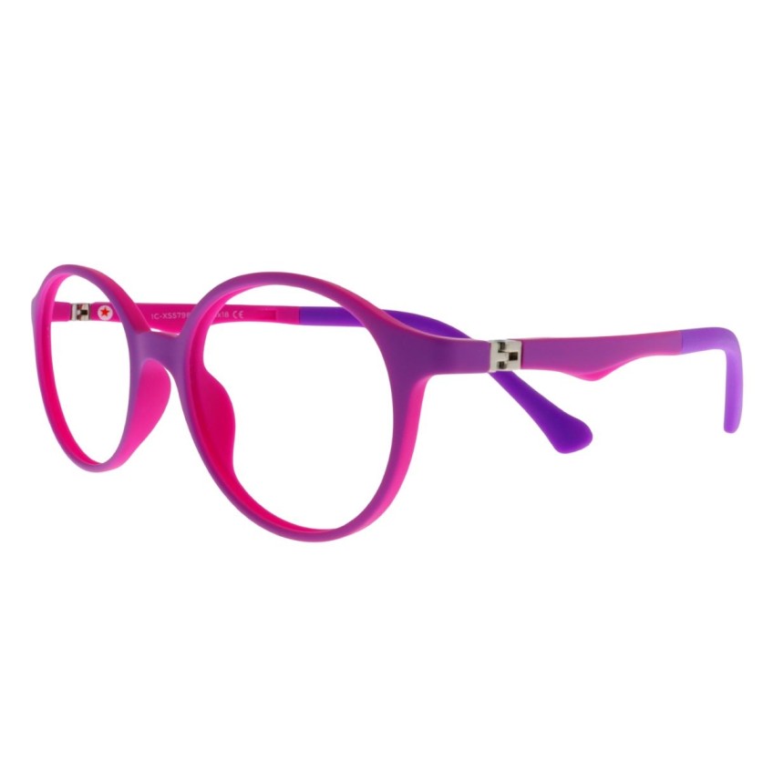 IC XS 5798 c3 Success