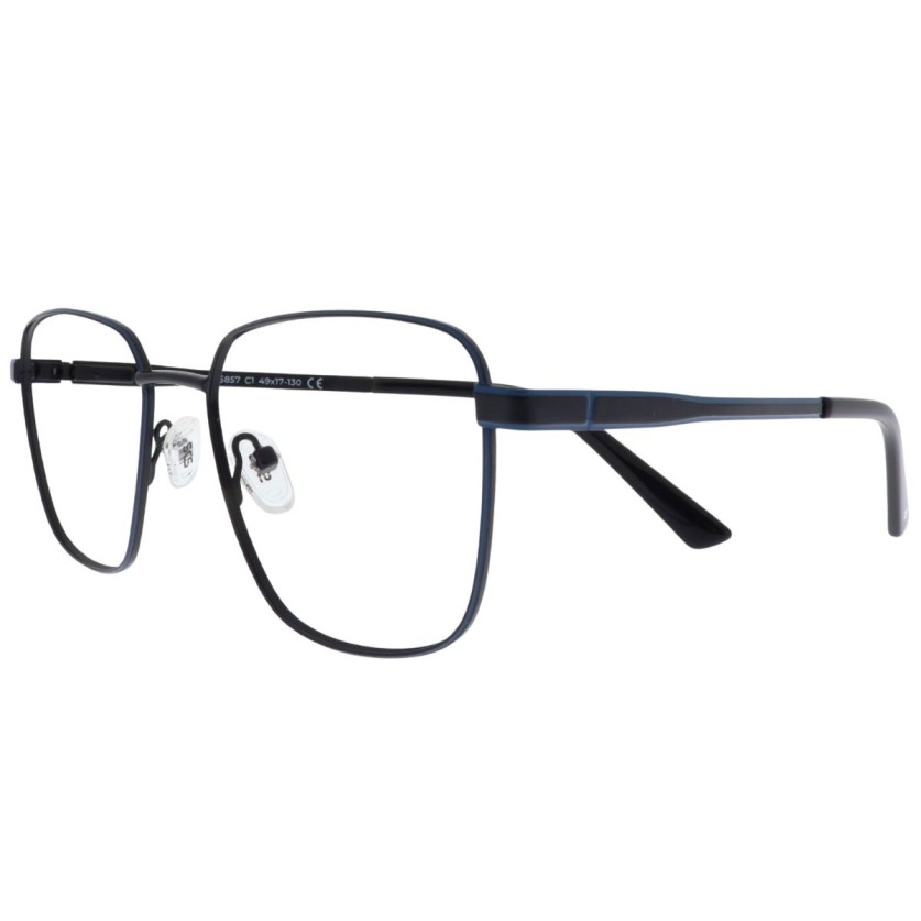 ID BIS 5857 c3 Success