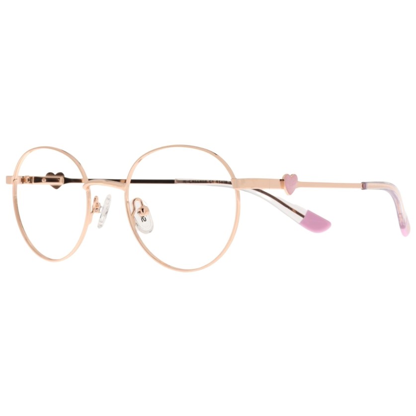 IL CYS 5898 c1 Success