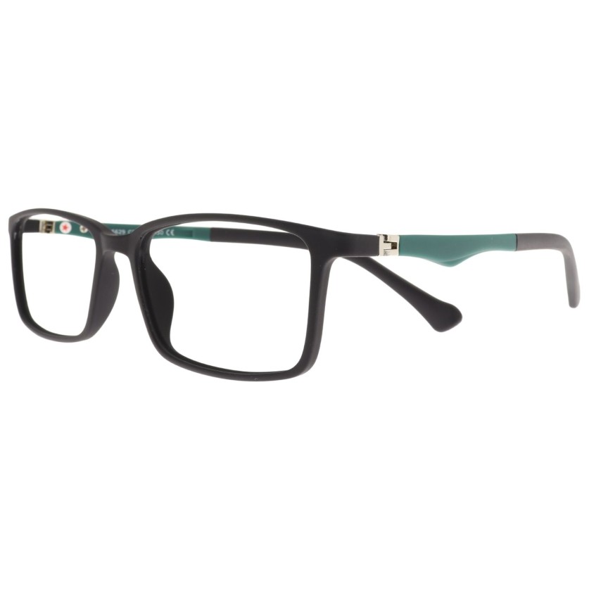 DD XS 6629 c3 Success