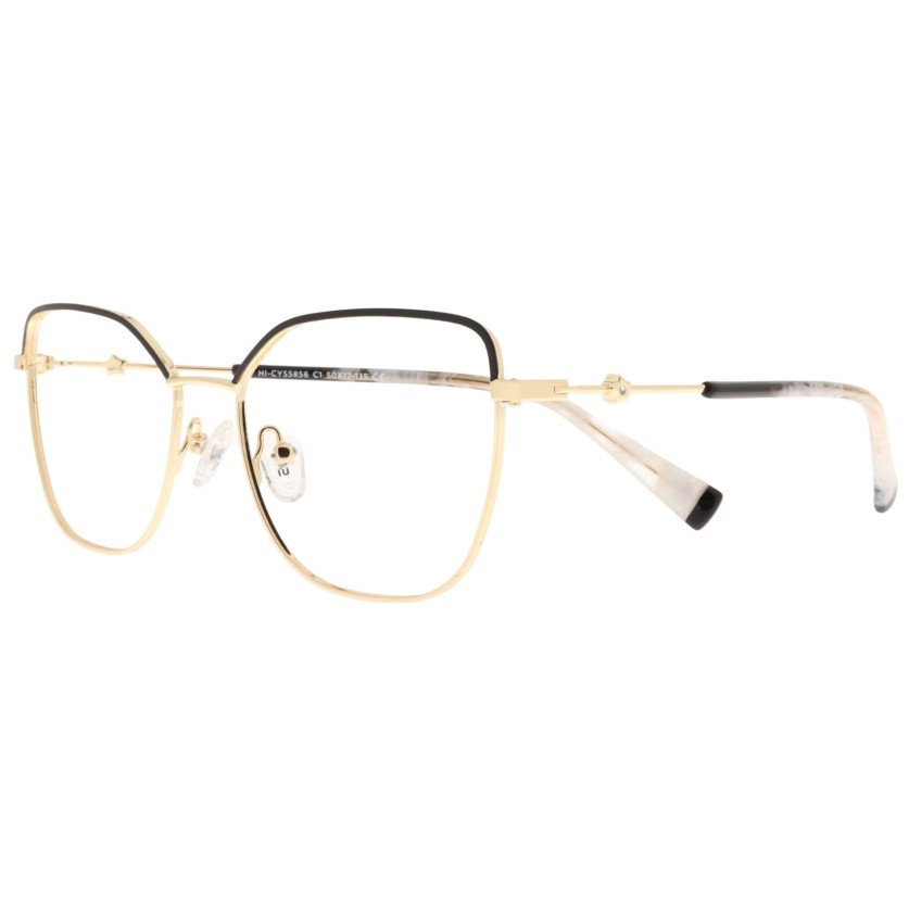 HI CYS 5856 c1 Success