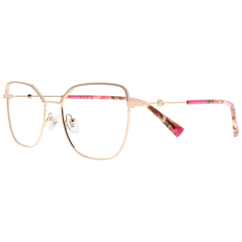 HI CYS 5856 c3 Success