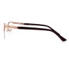 MGSM 4221 c2 Simpleye